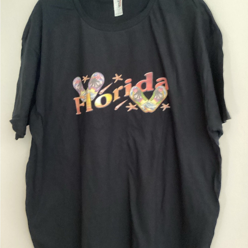 17. Anvil Black Tee with Colorful Florida Design NWOT Unisex